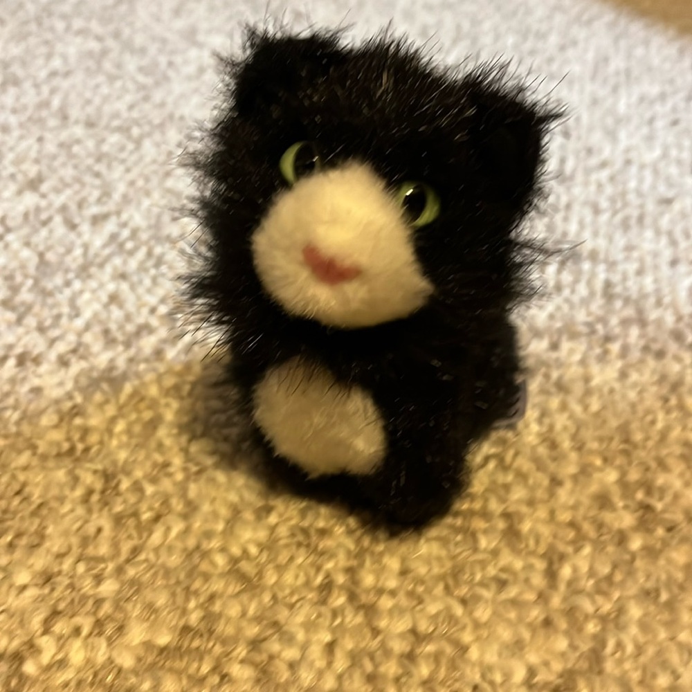 American Girl cat
